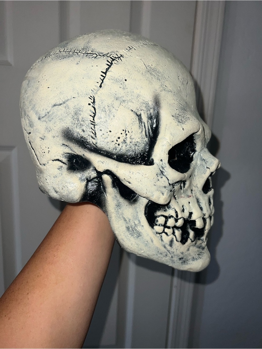 Realistic skull mask